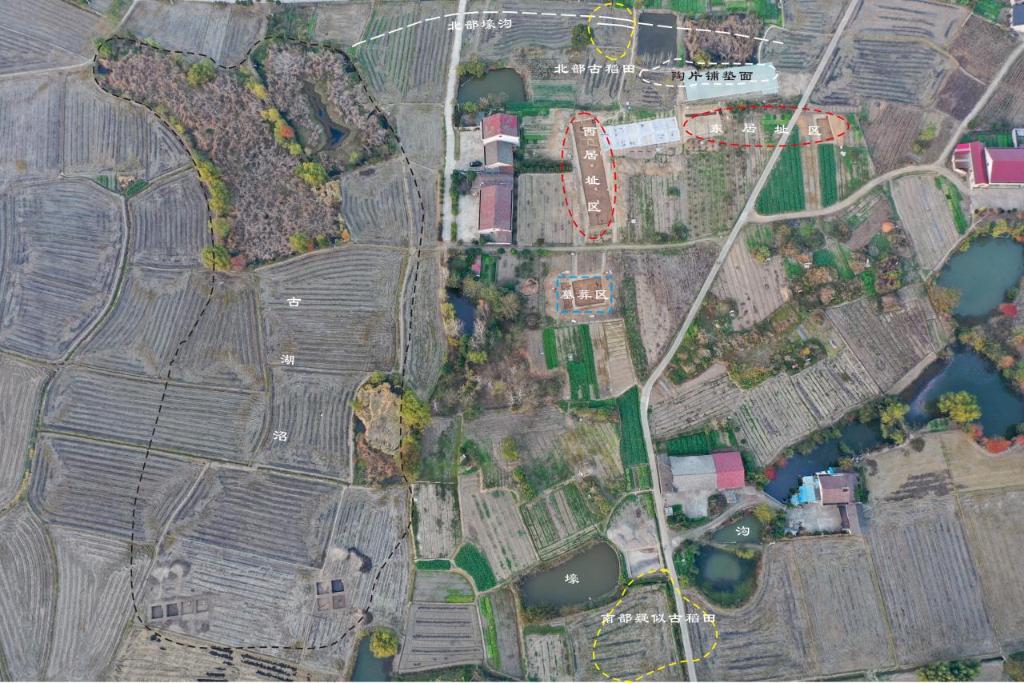 先民8000多年前就在种水稻不朽情缘mg网址实锤！这里的(图2)