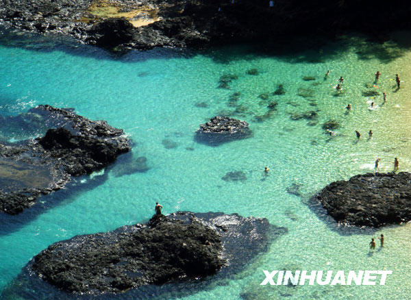 费尔南多—迪诺罗尼亚岛mg不朽情缘网站美